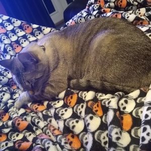 Meet your Posher, Alex